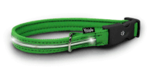 Svítící obojek Visiglo GREEN NEON