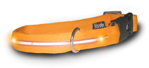 Svítící obojek Visiglo ORANGE LED ORANGE