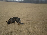 Nalezení předmětu