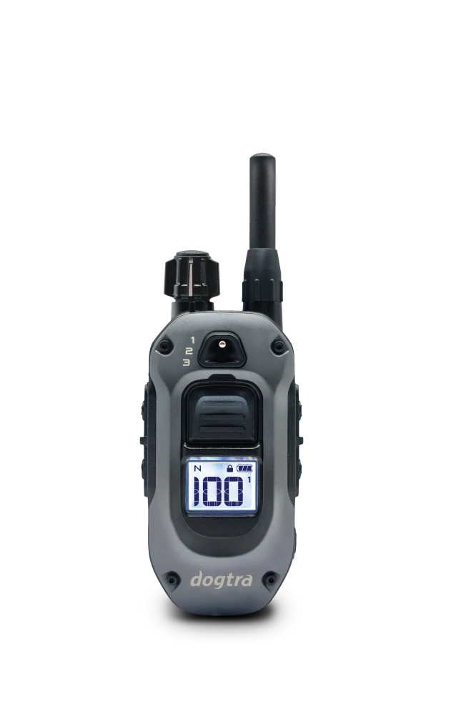 Ovladač obojku Dogtra 640X