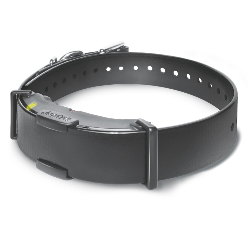 Dogtra ARC 800 FREE PLUS