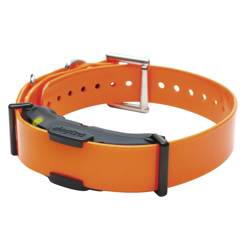 Dogtra ARC 800 FREE PLUS