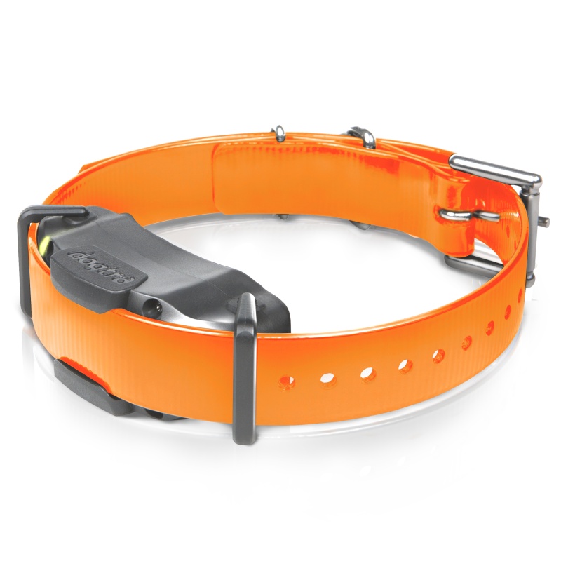 Dogtra ARC 1202S FREE PLUS