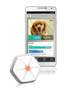 StarWalk